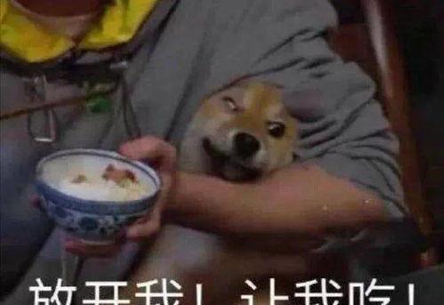 娱乐圈吃瓜科普